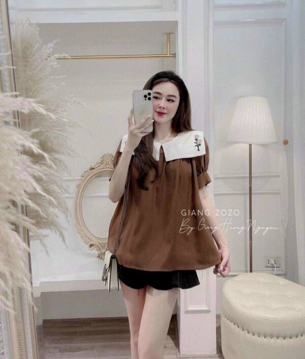 Brown Blouse with White Peter Pan Collar